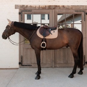 Kentucky Schabracke VELVET Mini Pearls Springen Beige