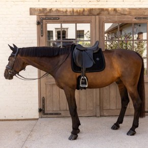 Kentucky Schabracke VELVET Mini Pearls Dressur Schwarz