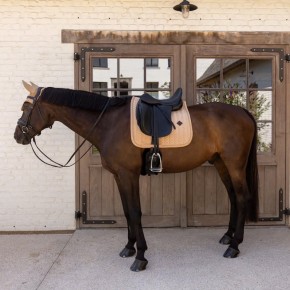 Kentucky Schabracke VELVET Mini Pearls Dressur Beige