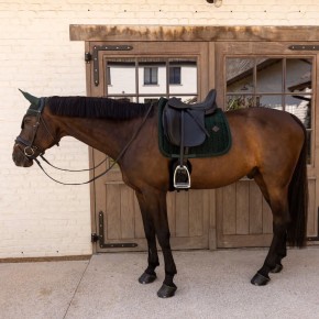 Kentucky Schabracke VELVET Mini Pearls Dressur Dunkelgrün