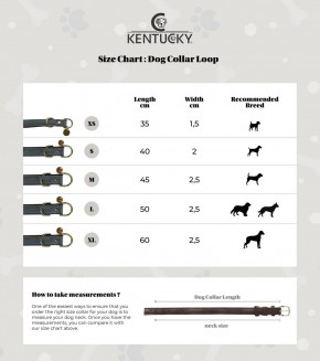 Kentucky Hundehalsband Loop