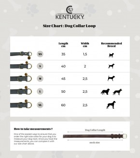 Kentucky Hundehalsband Loop XS