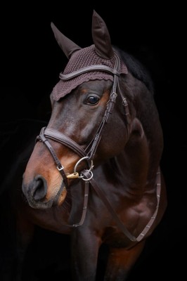 Passier Trense No Limits braun Full