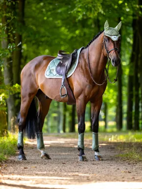 Equestrian Stockholm Mesh Gamaschen Pistachio
