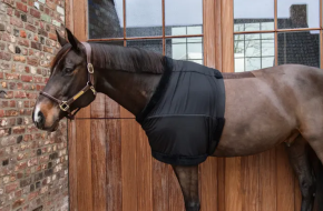 Kentucky Horsewear Brustschutz schwarz
