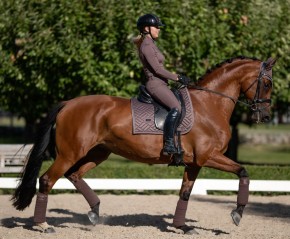 Equestrian Stockholm Dressur Schabracke AMARANTH Full