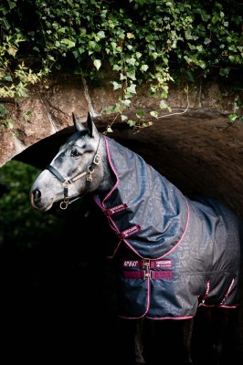 Horseware Amigo Hero Ripstop Plus Lite Fig/Navy & Tan 0g