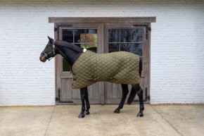 Kentucky Stalldecke Wave 160g grün