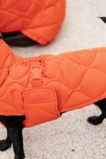 Kentucky Hundemantel Winter Pina orange SM
