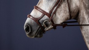 Dyon Double Noseband Doppelnasenriemen NE04H