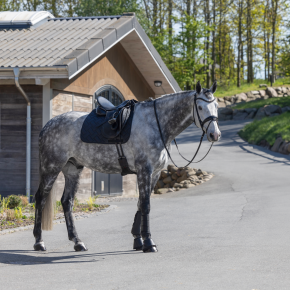 Kingsland KLLexie Vordergamaschen Schwarz XL