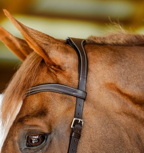 Horseware Micklem Competition Bridle braun Full