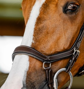 Horseware Micklem Competition Bridle braun Full