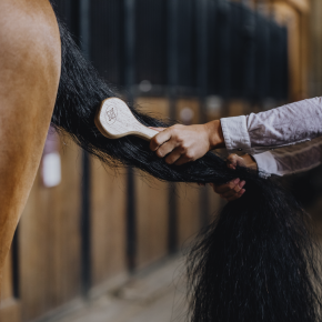 Kentucky Grooming Deluxe Mähnenbürste